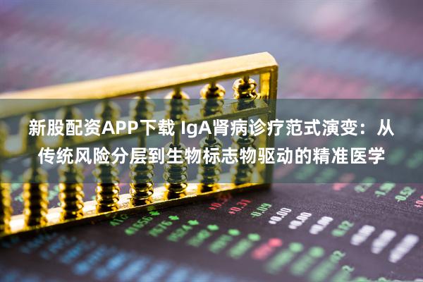 新股配资APP下载 IgA肾病诊疗范式演变：从传统风险分层到生物标志物驱动的精准医学